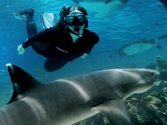 HOLDING 28TH NOV Holly and Eleri Charlton swimming with sharks at Seaworld. Pic by Luke Marsden.