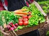Farm to fork: Plans for new western Sydney ‘urban farm’