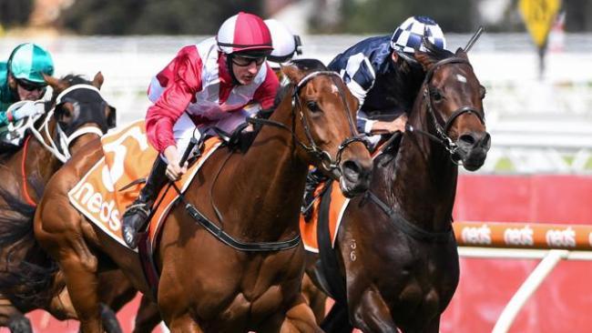 Arcadia Queen and Russian Camelot had mixed results at the Cox Plate barrier draw.