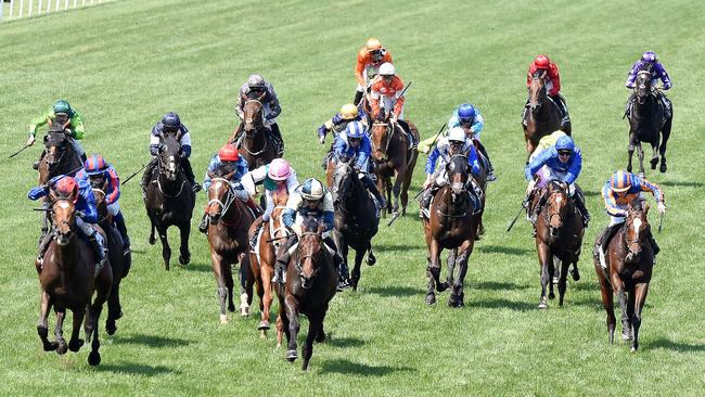 Cross Counter (left) charged home from back in the field to win the Cup. Picture: Nicole Garmston