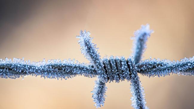 Frost has swept through southern NSW and Victoria. Picture: Zoe Phillips