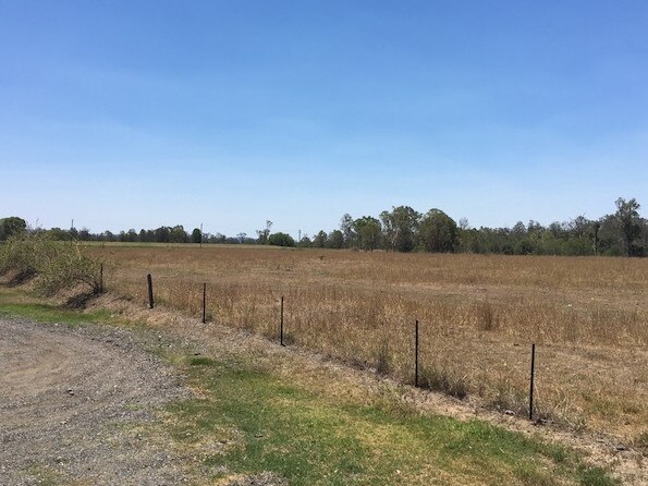 priors pocket road land bought as part of bushland acquisition scheme