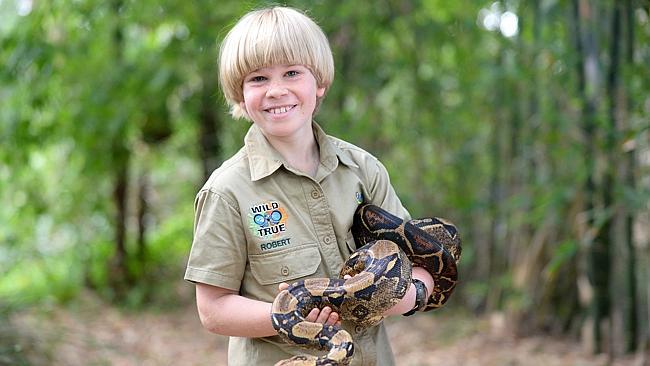 Steve Irwin’s son leads Emmys charge