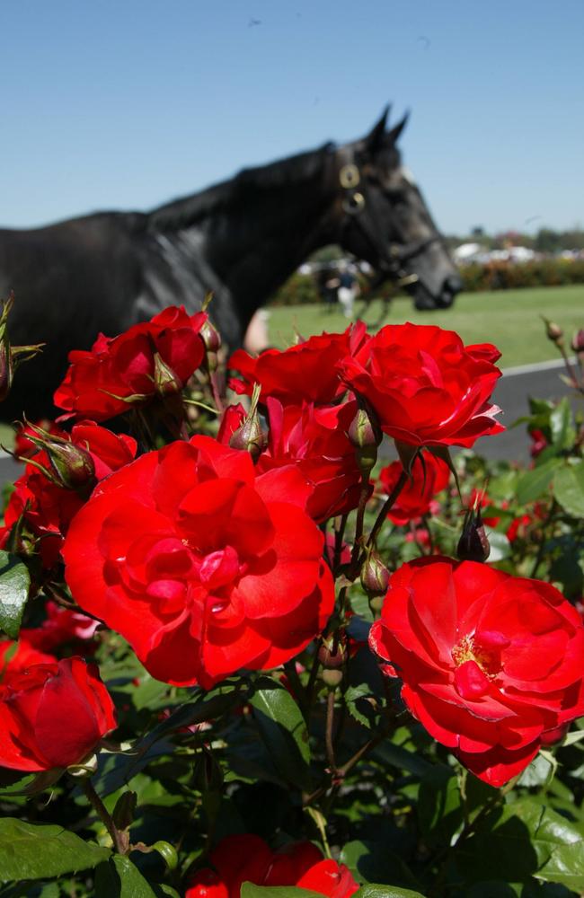 Derby Day at Flemington