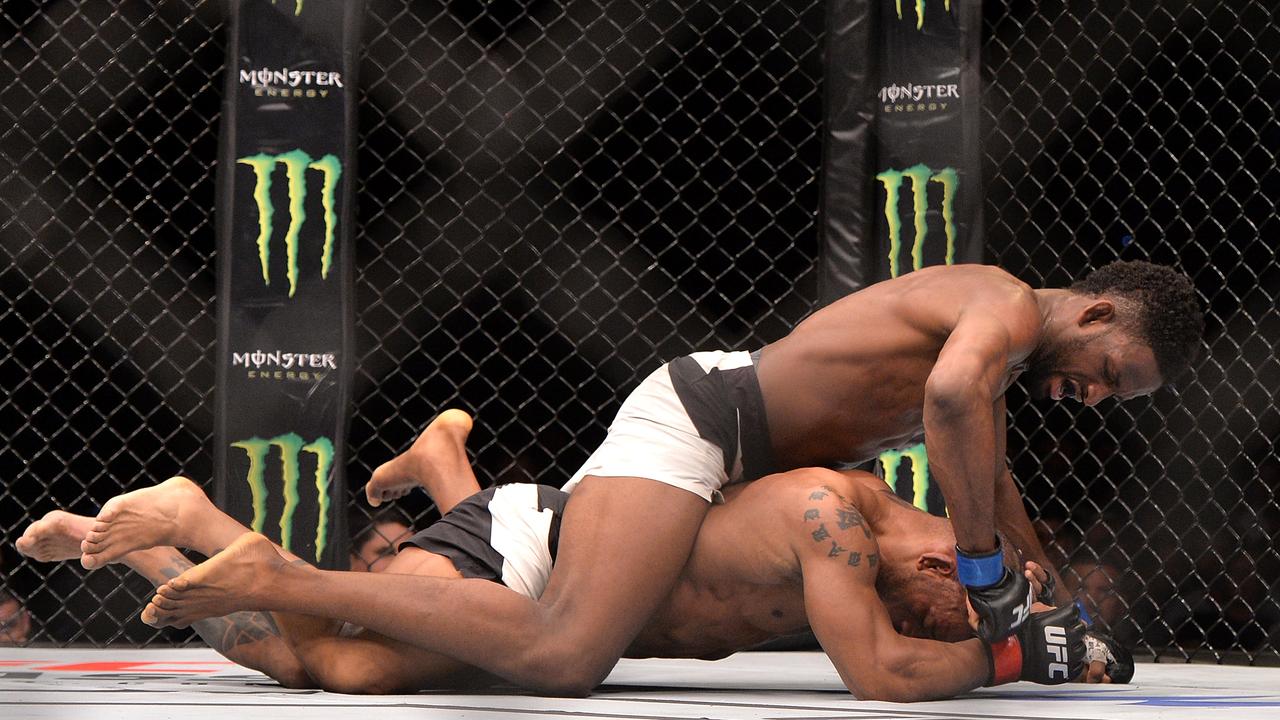 Gay porn UFC New York MMA | Herald Sun