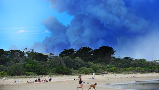 Fires forced the relocation of Falls Festival in 2015. Picture: Mitch Bear