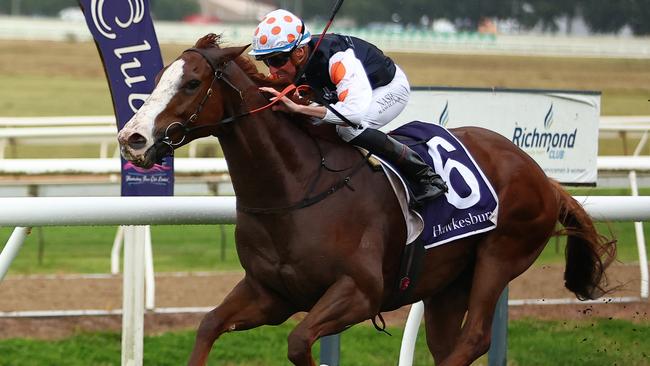 Nash Rawiller and Just Folk hold on to win the Hawkesbury Gold Cup. Picture: Getty Images