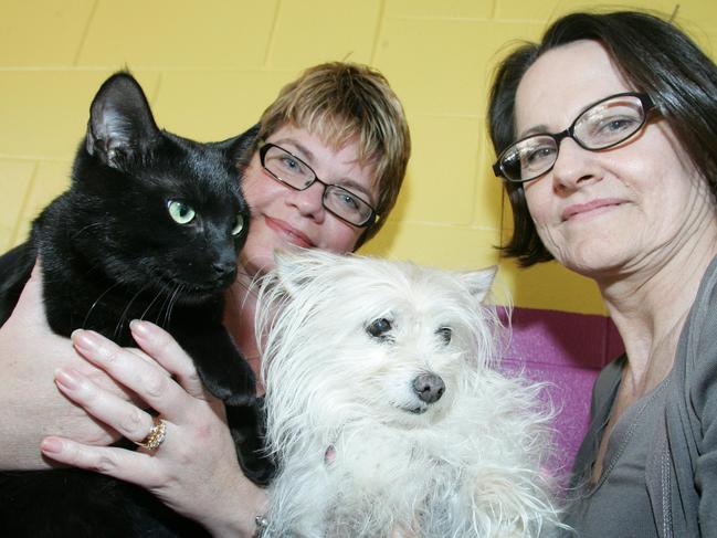 Cat owners have been given a further 12 months to register their cats. (L-R) Cat owner Sue Gilbert with Felix (cat) and dog owner Joy Verrinder and Minnie (dog). (Both animals are from the Gold Coast  Animal Welfare League)