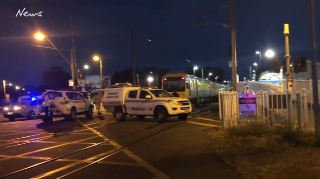 Pedestrian hit by train dies