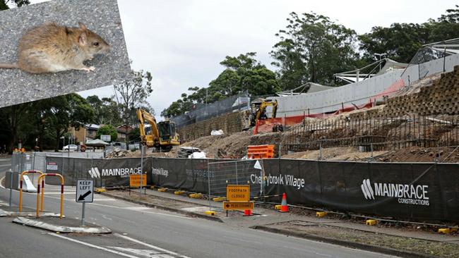 Residents have spotted rats near the construction zone.