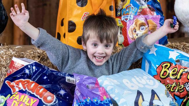 ADELAIDE, AUSTRALIA - NewsWire Photos 11th August, 2023:  Alfie (4) getting excited with show bags at the Adelaide Royal Show. Picture: NCA NewsWire / Kelly Barnes