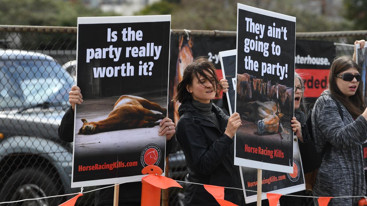 Animal activists stage a protest during Caulfield Cup day on October 19 this year. Picture: James Ross/AAP