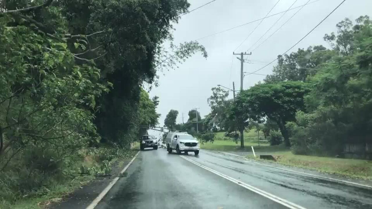 Redland Bay Tree falls over road