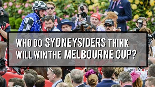 Who are Sydneysiders backing in the Melbourne Cup?