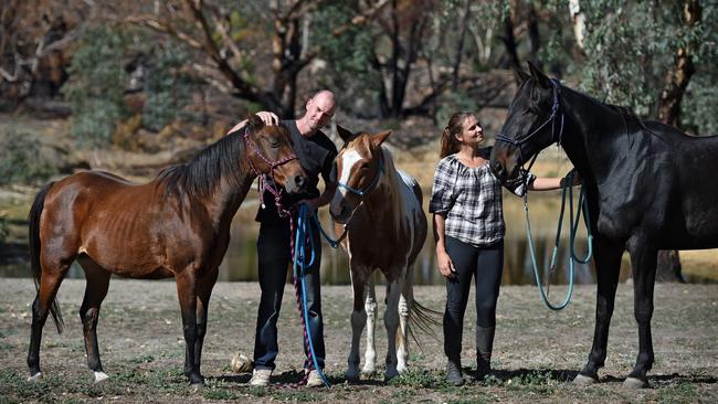 Windamere Horse Haven president David Mews with mares Holly and Lakota and trainer Sarah McEachern from Empathy Horsemanship with gelding Houdini. Picture: Naomi Jellicoe