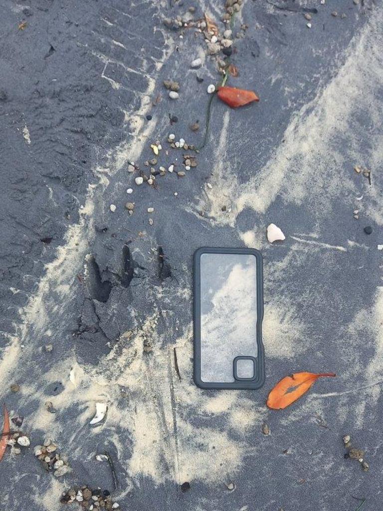 The ranger took photos of the crocodile’s body imprint on the sand at Inskip Point, it’s claw marks and marks made by its sliding tail.