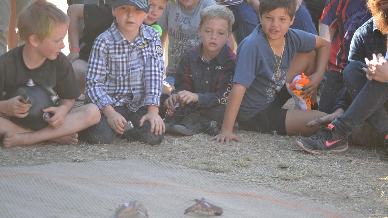 One of the Tara Festival of Culture and Camel Races' yabby races. Photo Alana Calvert / Chinchilla News.