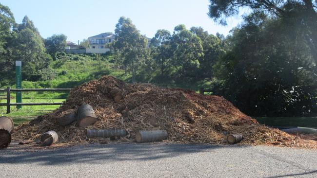 Illegal dumping at Gannan Park, Ryde