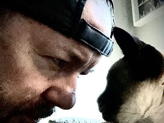 Gervais mourns loss of social media star cat