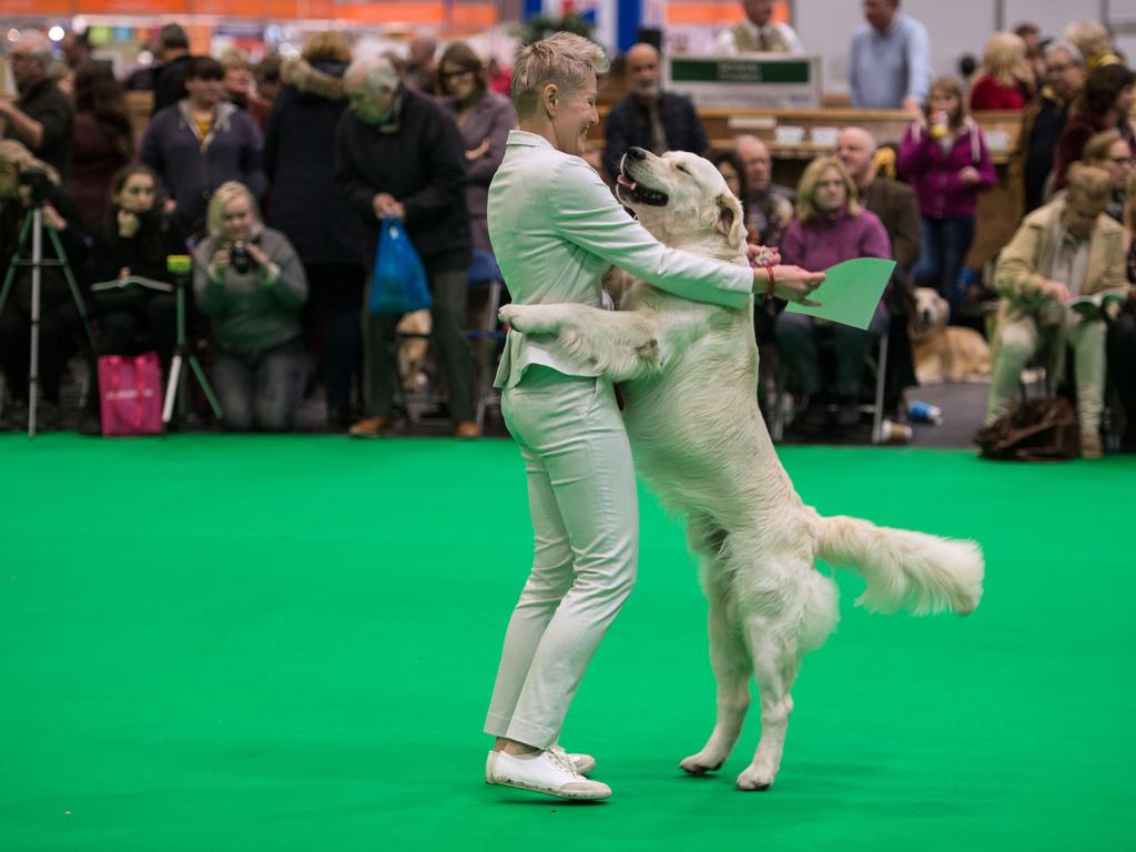 A woman embraces her golden retriever dog after it was awarded a prize on the first day of the Crufts dog show at the National Exhibition Centre. Picture: AFP