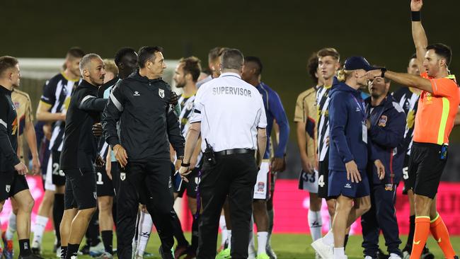 Macarthur Bulls assistant coach Christophe Gamel. Picture: Mark Metcalfe/Getty Images