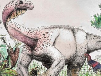 A team of scientists, led by University of the Witwatersrand, have discovered a new species of giant dinosaur. Picture: Wits University