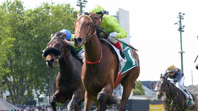 Berkeley Square will be out to notch his first win since the 2022 Moonee Valley Vase in Saturday’s VOBIS Gold Heath at Caulfield. Picture: Racing Photos via Getty Images