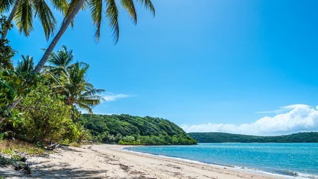 The far north’s picturesque beaches, rainforest and Great Barrier Reef are worth billions to the Queensland economy.