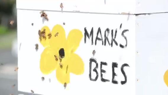 Mark's Bees in Southoprt have the locals buzzing 