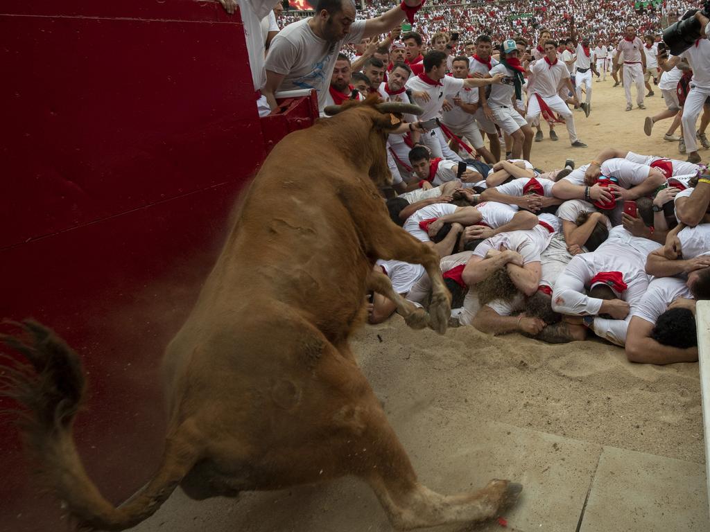 A heifer jumps over revellers in the bullring. Picture: Getty