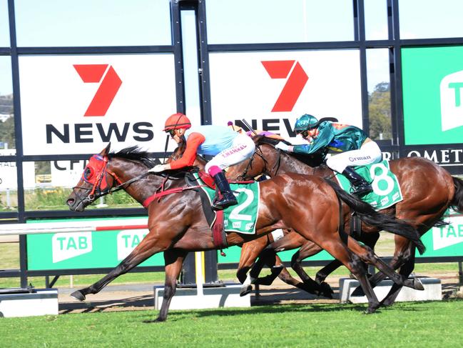 Race 4 Ipswich winner Ascot Express, ridden by Taylor Marshall and trained by Barry Baldwin. Picture: Claire Power