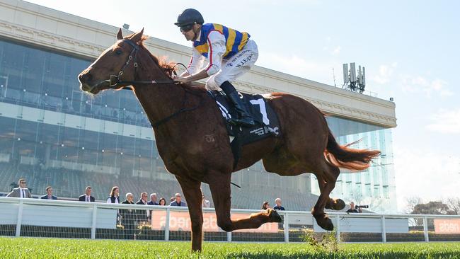 Jimmy The Bear is ready to win at Caulfield after two excellent efforts to start his autumn campaign. Picture: Racing Photos via Getty Images.