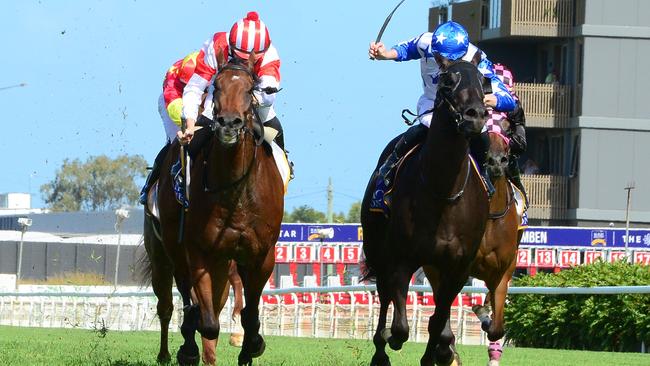 Chris Wessel has Count Da Beans (right) contesting The Gateway on Saturday. Picture: Grant Peters/ Trackside Photography