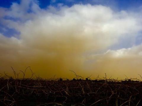 What the: Dust defies the rain showers and green paddocks to blast Mildura with dust. Picture: Glenn Milne.