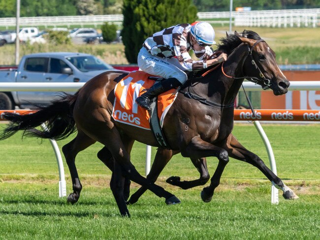 Magic Time ridden by Michael Dee wins the Neds Sir Rupert Clarke Stakes at Caulfield Racecourse on November 18, 2023 in Caulfield, Australia. (Photo by Jay Town/Racing Photos via Getty Images)