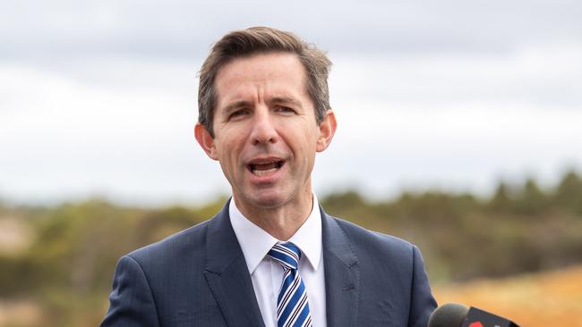 Simon Birmingham has condemned Labor’s refusal to fully support the Indonesian free-trade deal as “reckless”. Picture: James Elsby/AAP