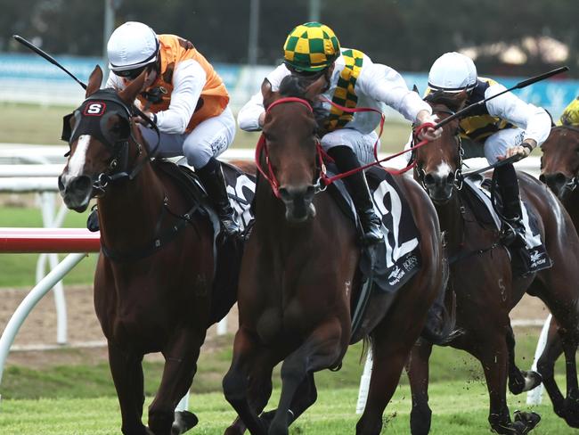 SYDNEY, AUSTRALIA - MAY 03: Chad Schofield riding  City Of Lights win Race 7 Pioneer Services Hawkesbury Crown during Metro Racing at Hawkesbury Race Club on May 03, 2025 in Sydney, Australia. (Photo by Jeremy Ng/Getty Images)