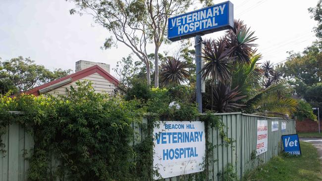 A row between Ms Eppinga and Beacon Hills Veterinary Hospital chief vet Dr Mahmoud Kalil has led to a four-year battle in the NSW courts. Picture: David Swift