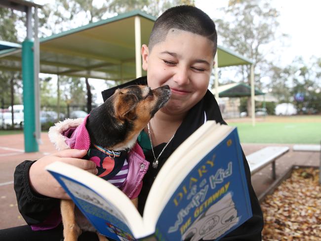 “Every recess when the dogs come I will run with the dogs and do tricks with them,” says Isaiah Shareefpour pictured with Perri the Chihuahua. Picture: Richard Dobson