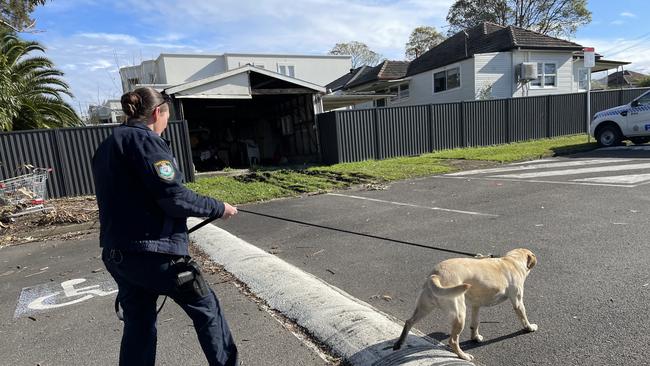 Police dog sniffing for bullet casings at Allum Park, Greenacre. Picture: Paul Brescia