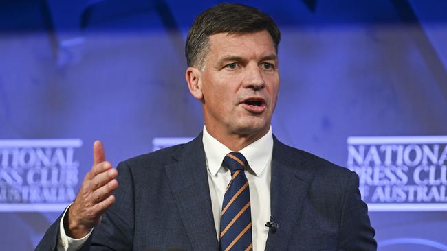 Shadow Treasurer Angus Taylor says economic growth in 2023-24 will fall well short of the government’s budget forecast of 1.75 per cent. Picture: NewsWire/Martin Ollman