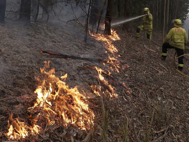 Firefighters manage a controlled burn to help contain a larger fire near Falls Creek on Sunday. Picture: AP Photo/Rick Rycroft.