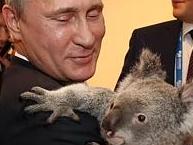 Concern for ‘Putin’s koala’