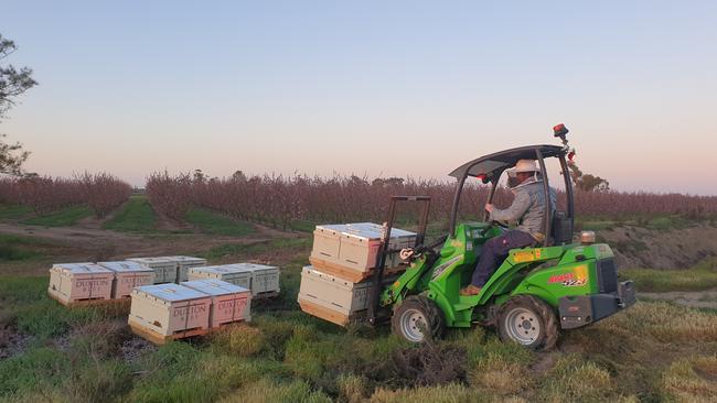 Duxton Bees general manager Keegan Blignaut, who operates one of Australia’s biggest beekeeping operations with 4,500 hives across the Murray-Darling region, said the increase would have a significant impact on his bottom line. Picture: Supplied.