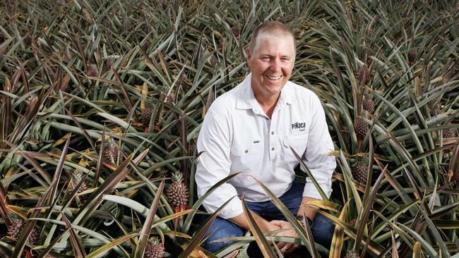 Fruit grower Gavin Scurr. Picture Lachie Millard