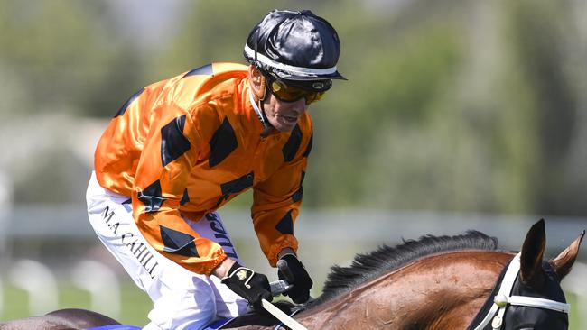 Matthew Cahill rides Blessed Award in the Cootamundra Cup. Picture: AAP Image