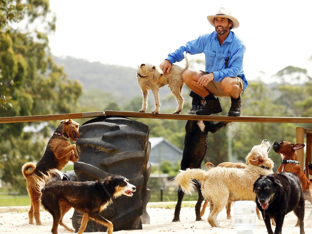 Doggy day clearance care farm