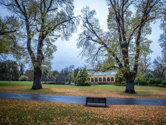 The coming week will deliver more consistent autumn-like weather. Picture: Jason Edwards