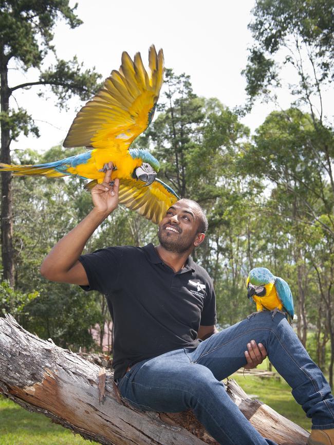 Ravi with the exotic birds at their Liverpool sanctuary. Picture: MELVYN KNIPE