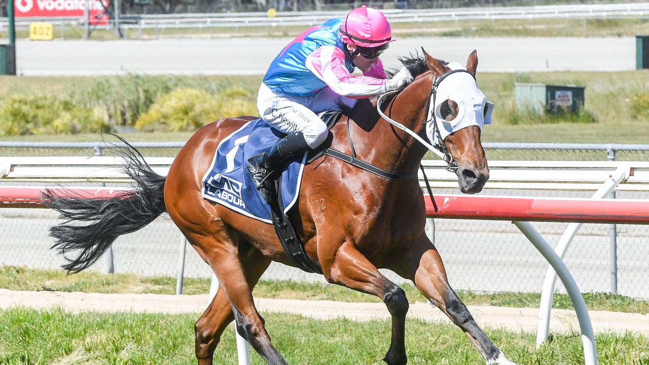 The Mick Price and Michael Kent-trained River Twain could follow his Kilmore success with another win at The Valley on Friday night. Picture: Racing Photos via Getty Images